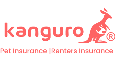 Kanguro